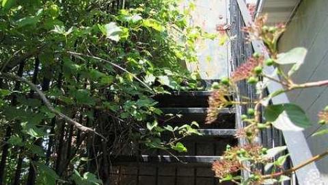 Town and Country Fitness - IMG_9782.jpg