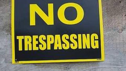 Mapleview Condemned Bungalows - u-20160820_163224.jpg