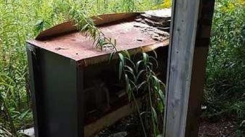 Mapleview Condemned Bungalows - j-20160820_163001.jpg