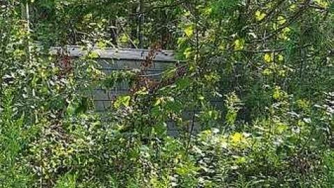 Mapleview Condemned Bungalows - m-20160820_163020.jpg