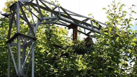 August 2016 - Mont-Tyrol24.jpg