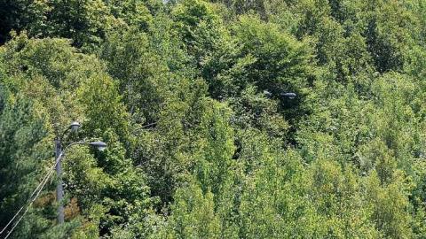 August 2016 - Mont-Tyrol25.jpg