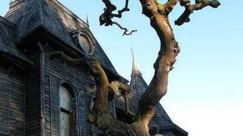 IT House - IT-House11.jpg