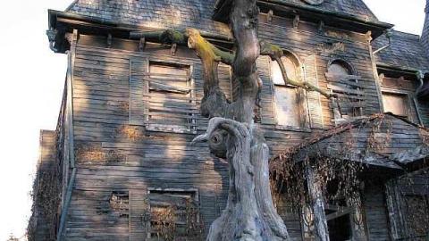 IT House - IT-House13.jpg