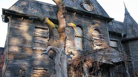 IT House - IT-House18.jpg