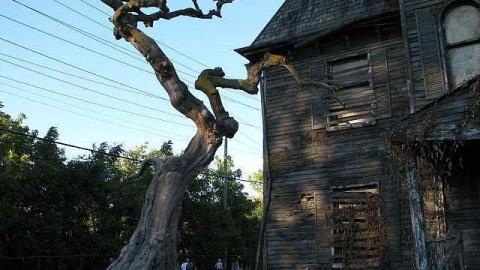 IT House - IT-House20.jpg