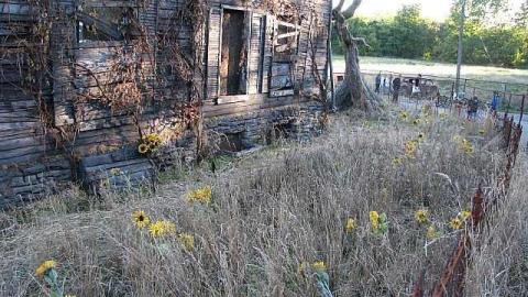 IT House - IT-House22.jpg