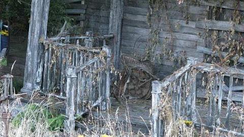 IT House - IT-House24.jpg