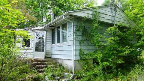 Gooey Goodness - Moldy-Getaway1.jpg