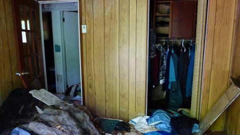 Gooey Goodness - Moldy-Getaway20.jpg