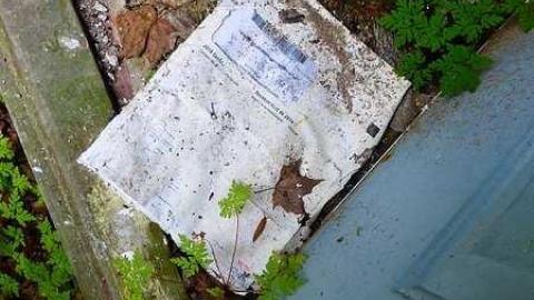 Gooey Goodness - Moldy-Getaway21.jpg