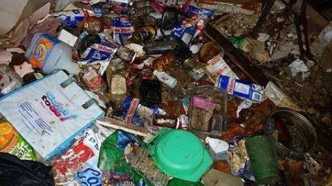 Gooey Goodness - Moldy-Getaway22.jpg