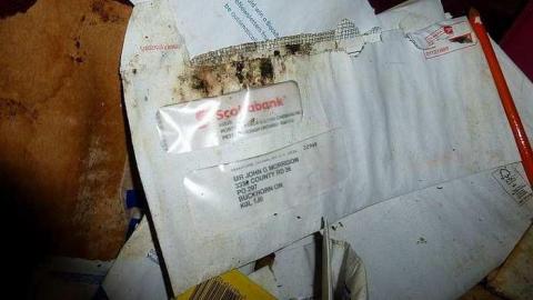 Gooey Goodness - Moldy-Getaway7.jpg