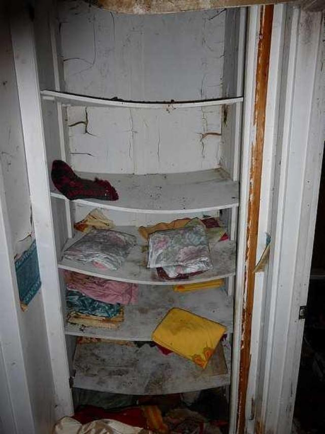 Moldy Getaway photo 4