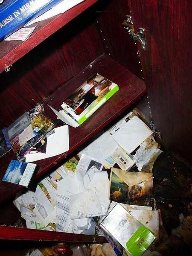 Moldy Getaway - Trent Lakes, Ontario