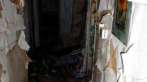 Gooey Goodness - Moldy-Getaway15.jpg