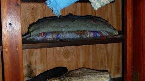 Gooey Goodness - Moldy-Getaway16.jpg