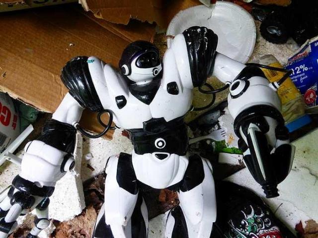 Moldy Getaway photo 3