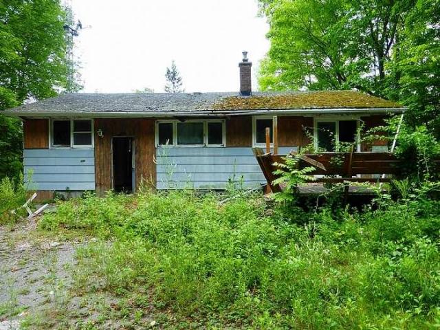 Moldy Getaway photo 3