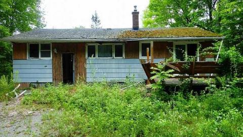 Gooey Goodness - Moldy-Getaway37.jpg