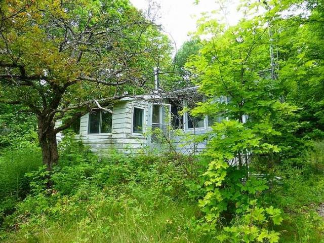 Moldy Getaway photo 2