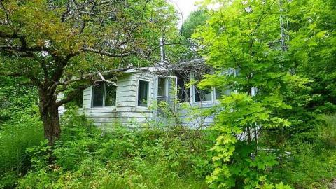 Gooey Goodness - Moldy-Getaway19.jpg