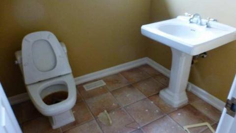 Ecko Elegance - Ecko-Location74.jpg