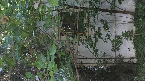 Shitty Exterior Photos - hpimage.jpeg