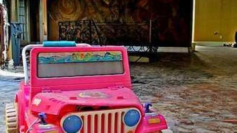 Blackened Mansion - Abandoned-Grow-Op-Mansion--Drug-Dealers-Mansion--King-City193.jpg