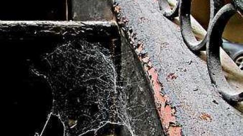 Blackened Mansion - Abandoned-Grow-Op-Mansion--Drug-Dealers-Mansion--King-City171.jpg