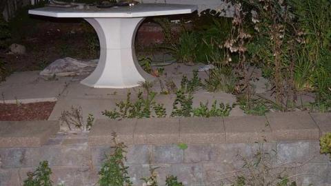 good condition - DSC_0948.jpg