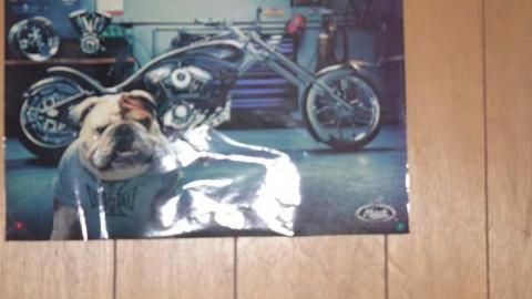 good condition - DSC_0962.jpg