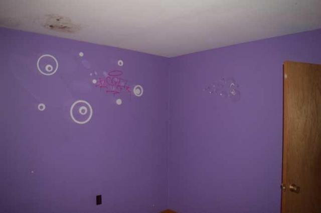 House in the Trees photo 3