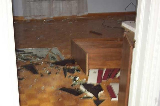 House in the Trees photo 4