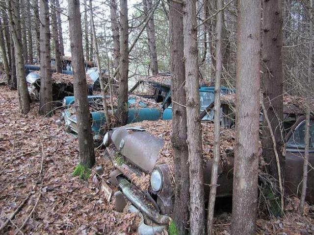 Decaying Vehicles photo 2