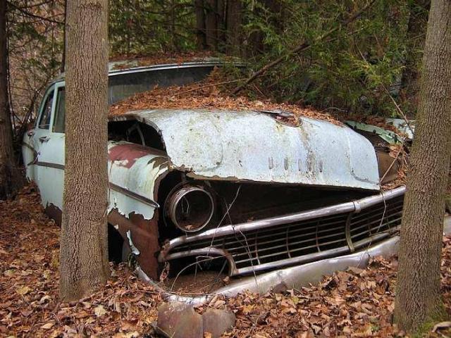 Decaying Vehicles - Trent Hills, Ontario