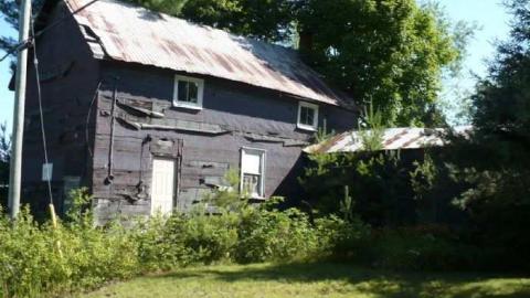 Bark this way - Barkway-(Black-Bill-Tragedy)43.jpg