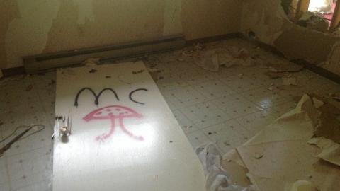 Gallary - Long-forgotten-beauty66.jpeg