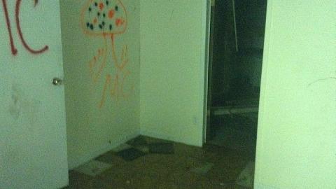 Gallary - Long-forgotten-beauty67.jpeg