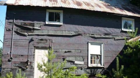 Bark this way - Barkway-(Black-Bill-Tragedy)45.jpg