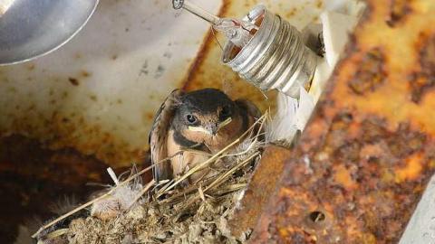 B & B - l-IMG_1372b.jpg