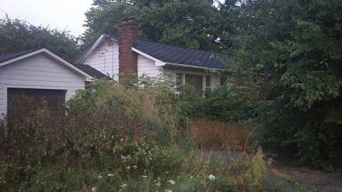 Photo from hoarder house