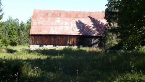 Bark this way - Barkway-(Black-Bill-Tragedy)49.jpg