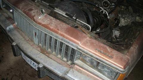 hoarder house - DSCF5049.jpg