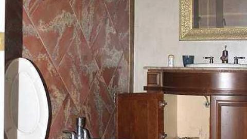 Trip to the Mansion - Abandoned-Grow-Op-Mansion--Drug-Dealers-Mansion--King-City264.jpg