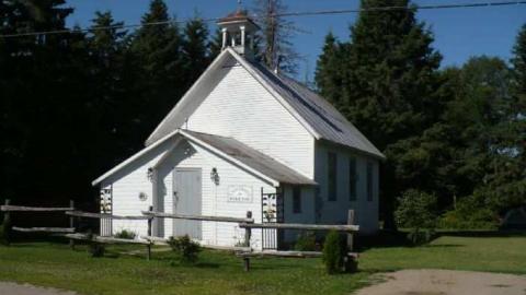 Bark this way - Barkway-(Black-Bill-Tragedy)40.jpg