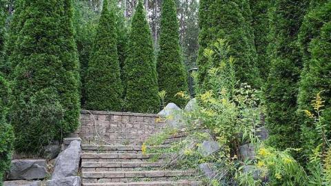 Trip to the Mansion - Abandoned-Grow-Op-Mansion--Drug-Dealers-Mansion--King-City275.jpg