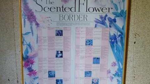 Barren - Naked-and-Afraid52.jpg