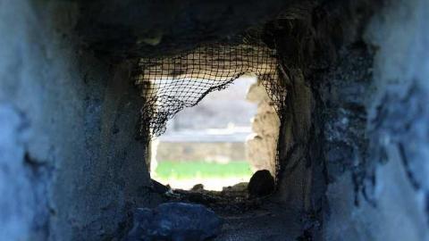 Photo from August 2016