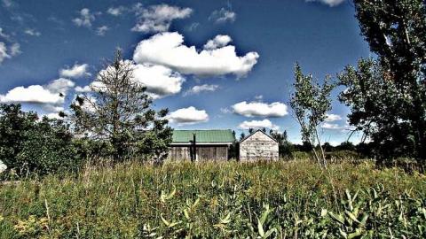 Abandoned Talent - Naked-and-Afraid54.jpg